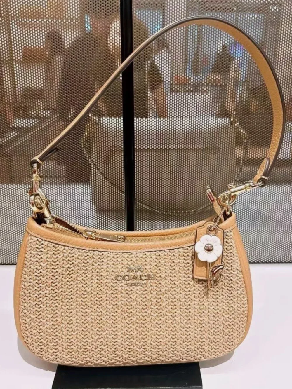 NWT Coach Teri Mini Crossbody Bag CDW66 Toast (Free charm)